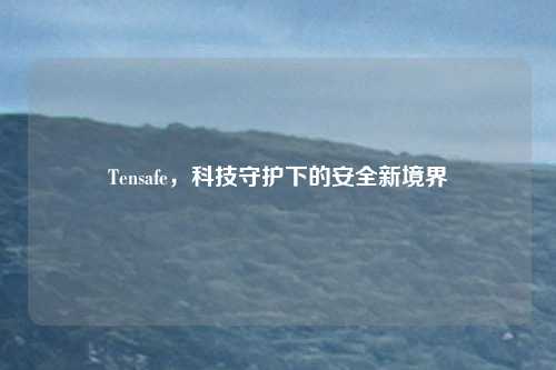 Tensafe,科技守护下的安全新境界