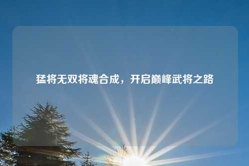 猛将无双将魂合成，开启巅峰武将之路