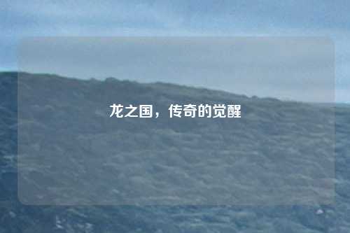 龙之国,传奇的觉醒