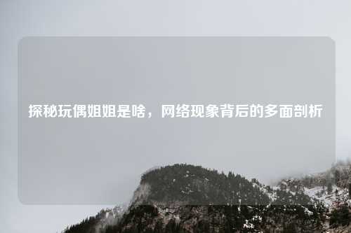 探秘玩偶姐姐是啥,网络现象背后的多面剖析