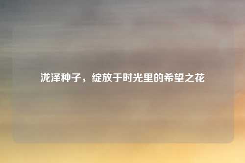 泷泽种子,绽放于时光里的希望之花