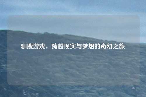 驯鹿游戏，跨越现实与梦想的奇幻之旅
