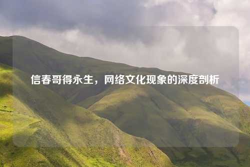 信春哥得永生,网络文化现象的深度剖析