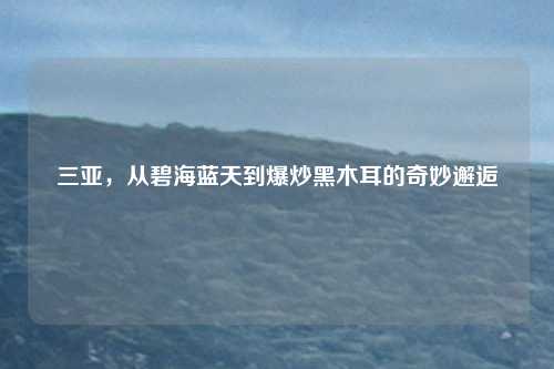 三亚,从碧海蓝天到爆炒黑木耳的奇妙邂逅