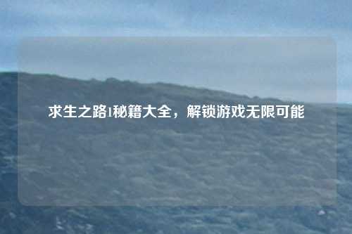 求生之路1秘籍大全,解锁游戏无限可能