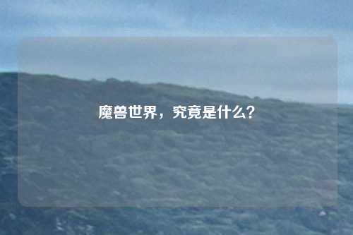 魔兽世界，究竟是什么？