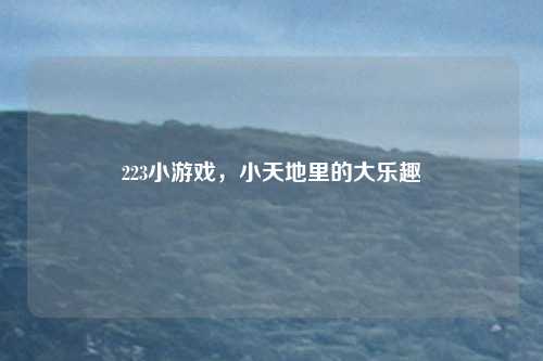 223小游戏,小天地里的大乐趣