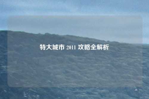 特大城市 2011 攻略全解析