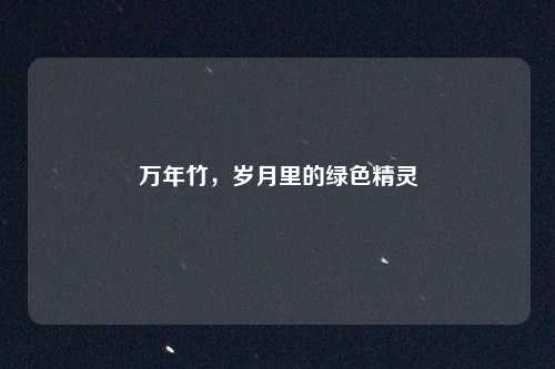 万年竹，岁月里的绿色精灵