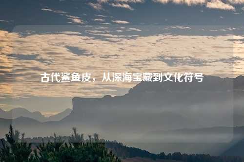 古代鲨鱼皮，从深海宝藏到文化符号