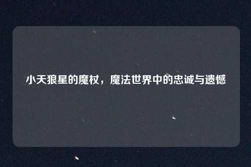 小天狼星的魔杖，魔法世界中的忠诚与遗憾