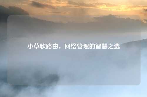 小草软路由，网络管理的智慧之选