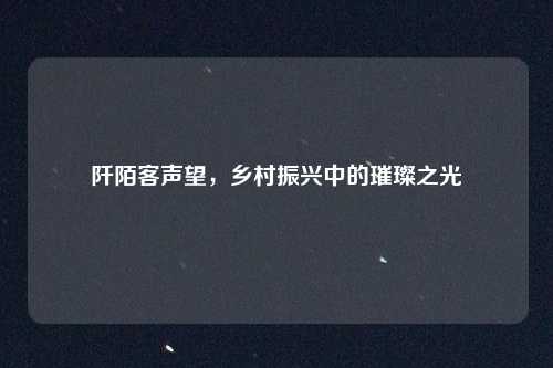 阡陌客声望，乡村振兴中的璀璨之光