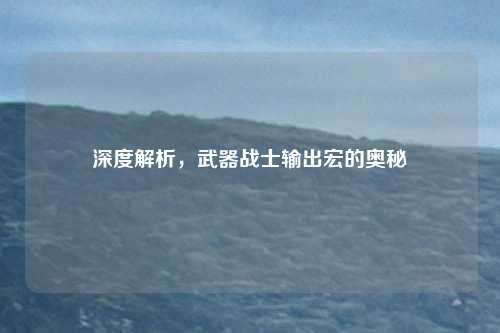 深度解析，武器战士输出宏的奥秘