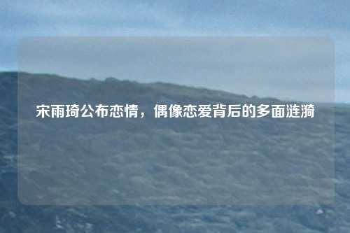 宋雨琦公布恋情，偶像恋爱背后的多面涟漪