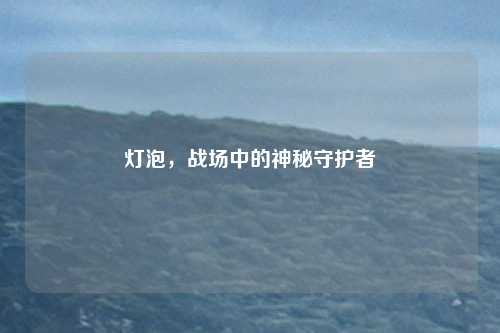 灯泡，战场中的神秘守护者