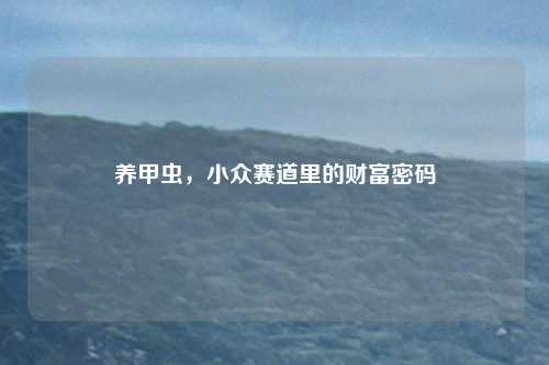 养甲虫,小众赛道里的财富密码