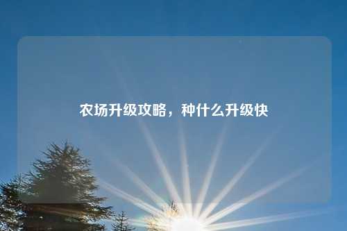 农场升级攻略,种什么升级快
