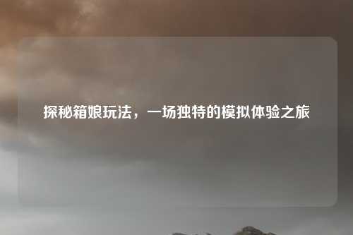 探秘箱娘玩法，一场独特的模拟体验之旅