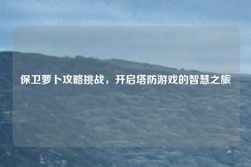 保卫萝卜攻略挑战,开启塔防游戏的智慧之旅
