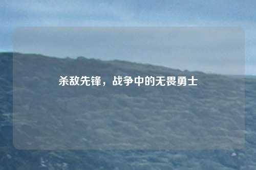 杀敌先锋,战争中的无畏勇士
