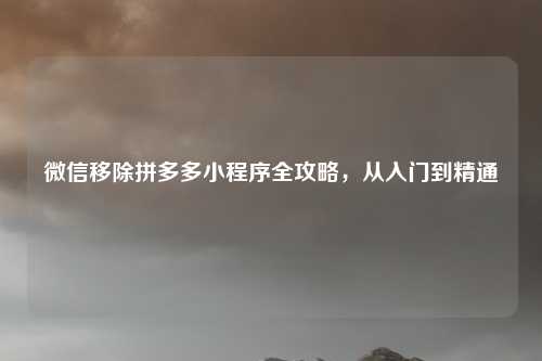 微信移除拼多多小程序全攻略,从入门到精通