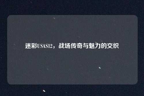 迷彩USAS12,战场传奇与魅力的交织
