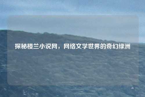 探秘楼兰小说网,网络文学世界的奇幻绿洲