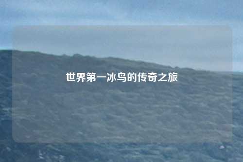 世界第一冰鸟的传奇之旅
