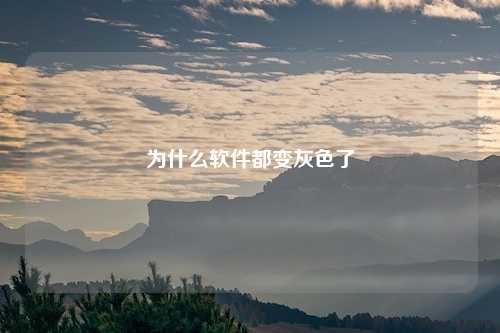 为什么软件都变灰色了