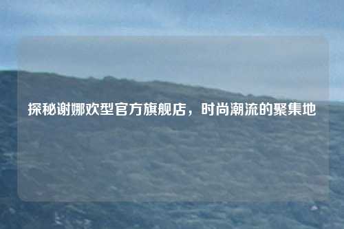 探秘谢娜欢型官方旗舰店,时尚潮流的聚集地