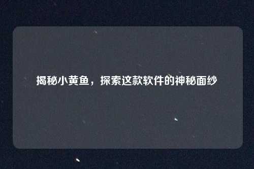揭秘小黄鱼，探索这款软件的神秘面纱