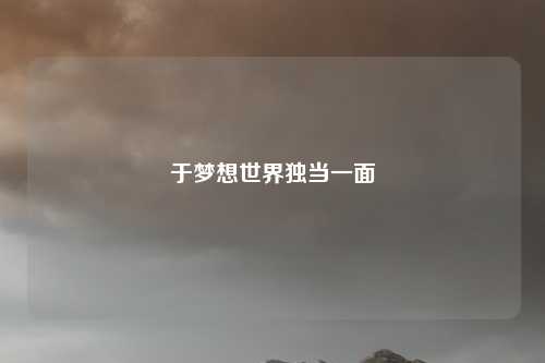 于梦想世界独当一面