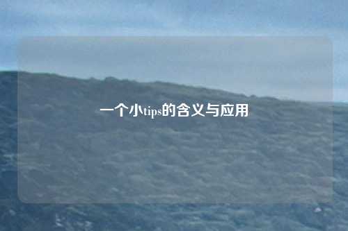 一个小tips的含义与应用