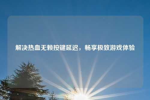 解决热血无赖按键延迟，畅享极致游戏体验