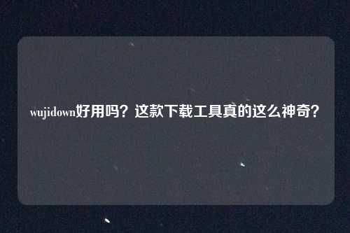 wujidown好用吗？这款下载工具真的这么神奇？