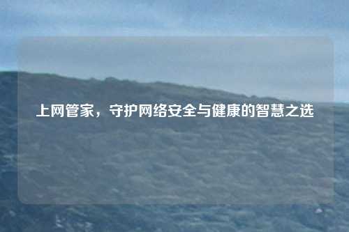 上网管家,守护网络安全与健康的智慧之选