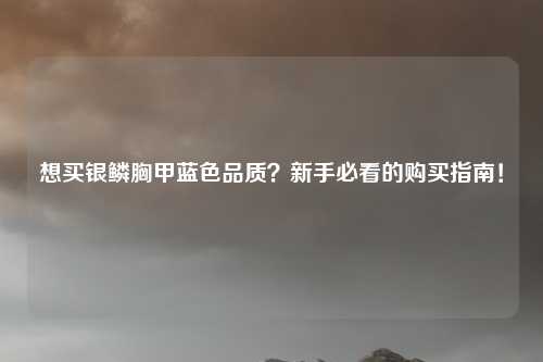 想买银鳞胸甲蓝色品质？新手必看的购买指南！