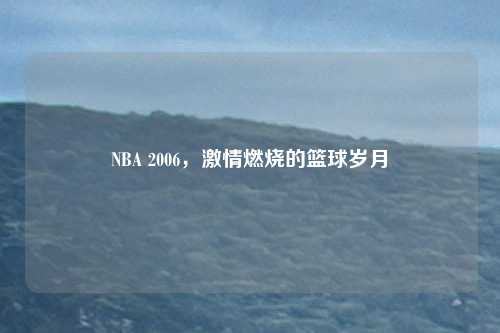 NBA 2006,激情燃烧的篮球岁月