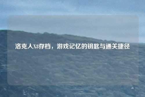 洛克人X8存档,游戏记忆的钥匙与通关捷径