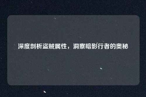 深度剖析盗贼属性，洞察暗影行者的奥秘