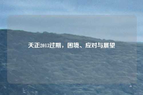 天正2013过期,困境、应对与展望