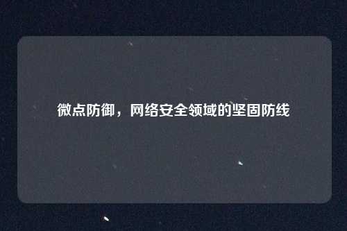 微点防御，网络安全领域的坚固防线