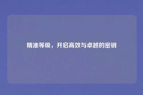 精准等级,开启高效与卓越的密钥
