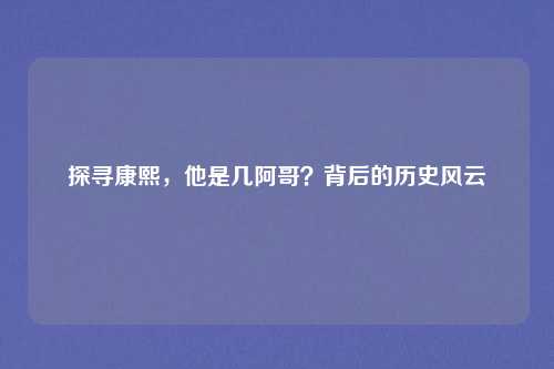 探寻康熙,他是几阿哥?背后的历史风云