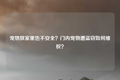 宠物放家里也不安全？门内宠物遭盗窃如何维权？