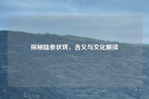 探秘陆参状珑，含义与文化解读