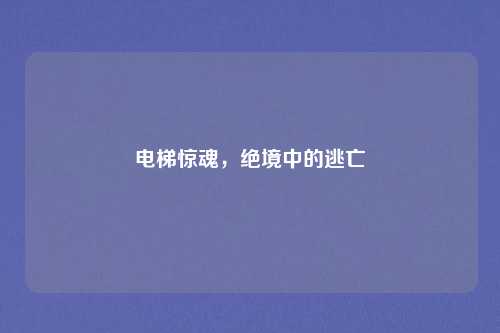 电梯惊魂,绝境中的逃亡