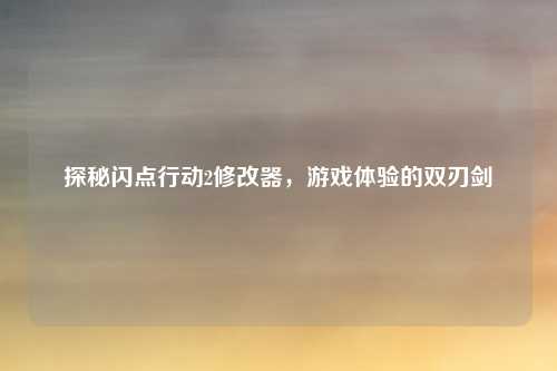 探秘闪点行动2修改器，游戏体验的双刃剑