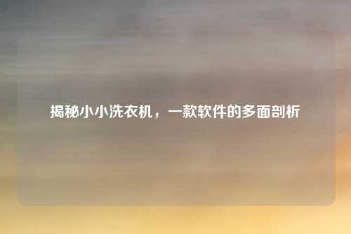 揭秘小小洗衣机，一款软件的多面剖析